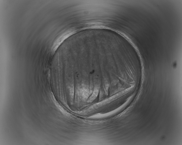 X0000115601289200912081105