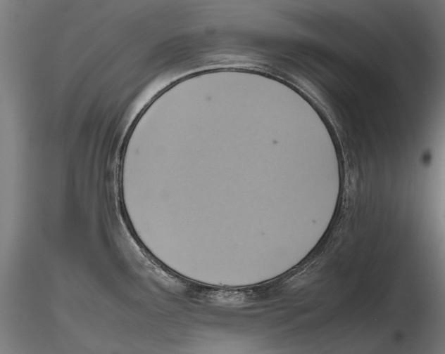 X0000115601291200912081105