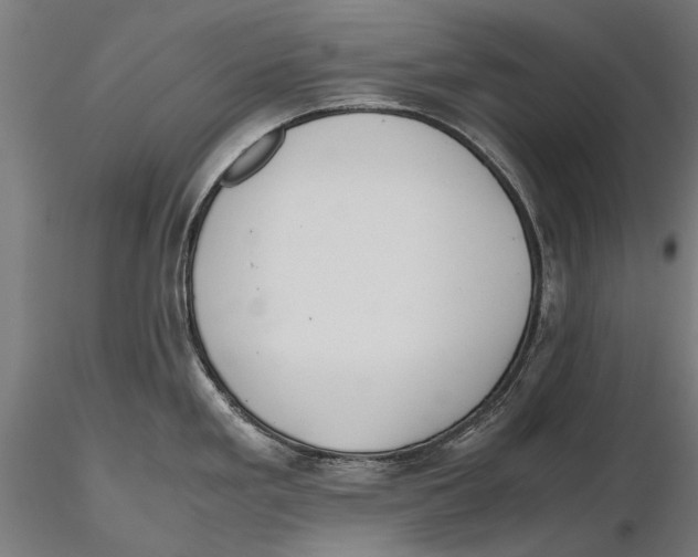 X0000115601293200912081105