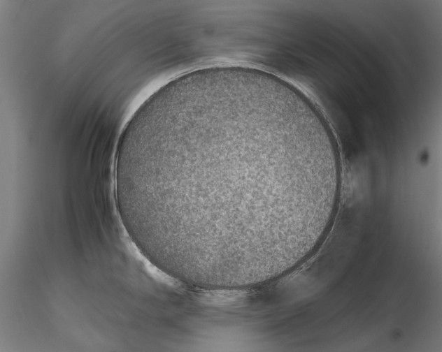 X0000115601294200912081105