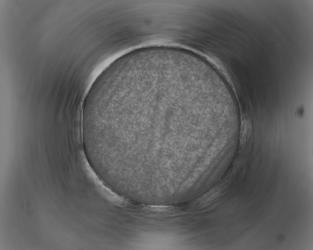 X0000115601295200912081105