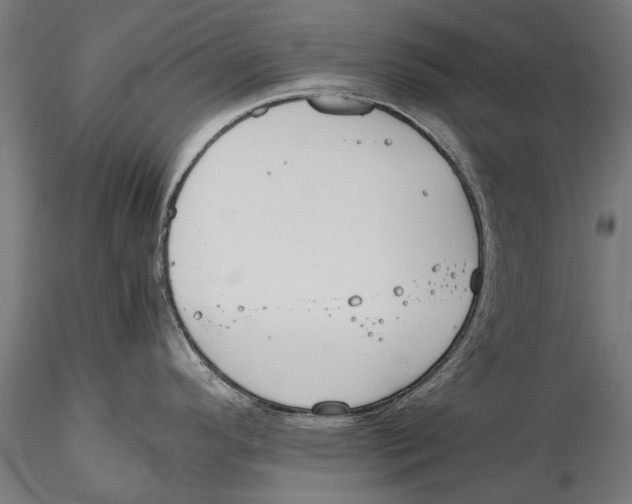 X0000115601296200912081105