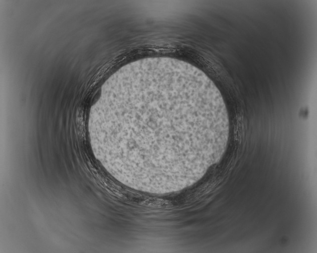 X0000115601298200912081104