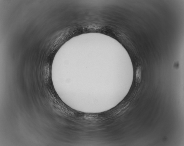 X0000115601299200912081104