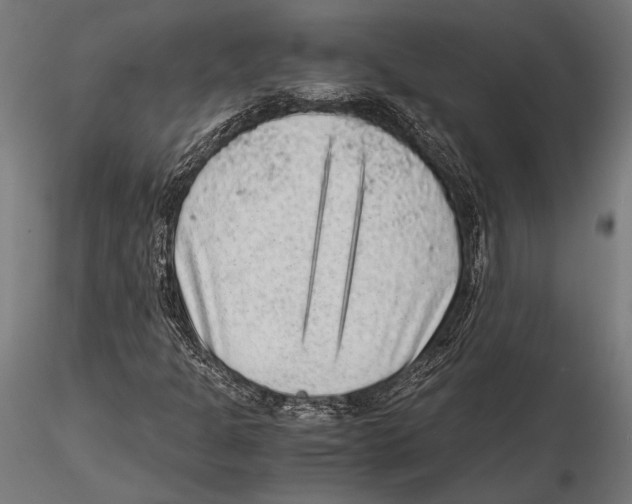 X0000115601301200912081104