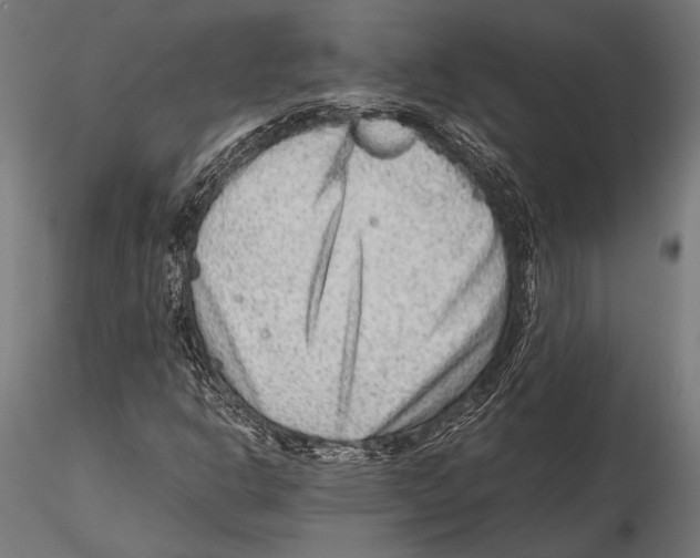 X0000115601302200912081104