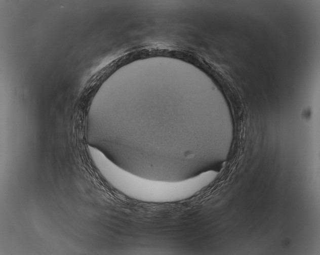 X0000115601303200912081104