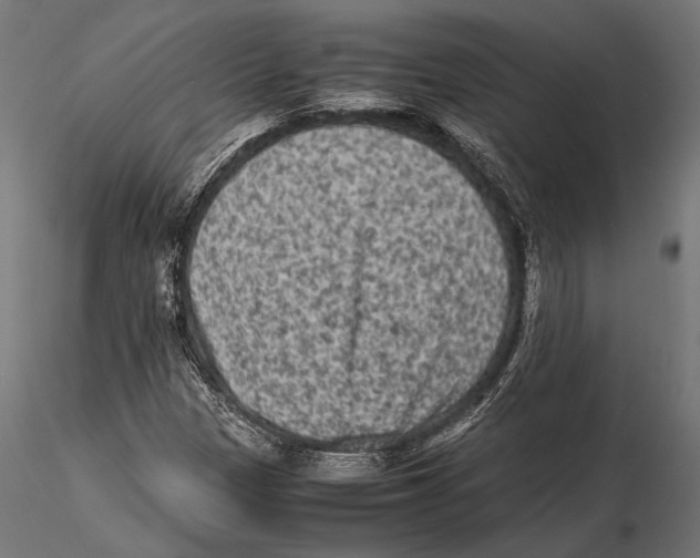 X0000115601305200912081104