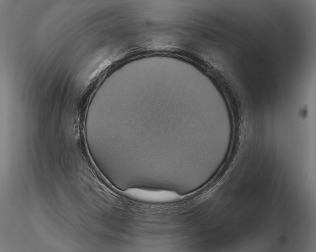 X0000115601306200912081104