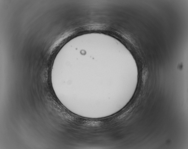 X0000115601309200912081104