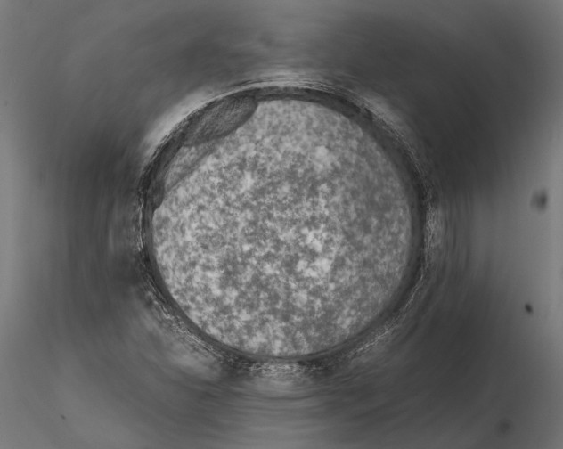 X0000115601310200912081104