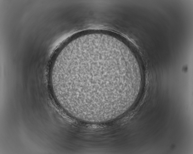 X0000115601311200912081104