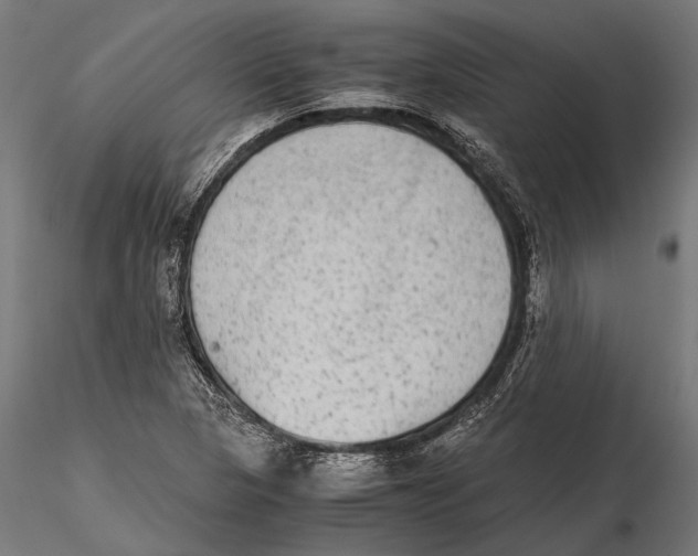 X0000115601313200912081104