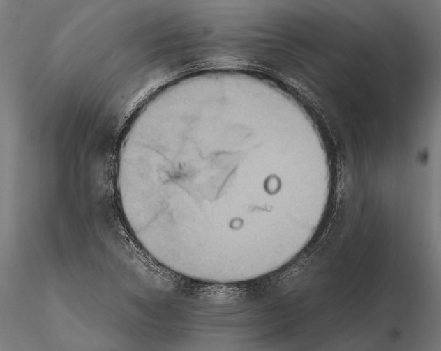 X0000115601314200912081104