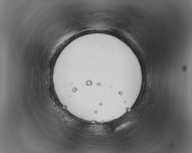 X0000115601315200912081104