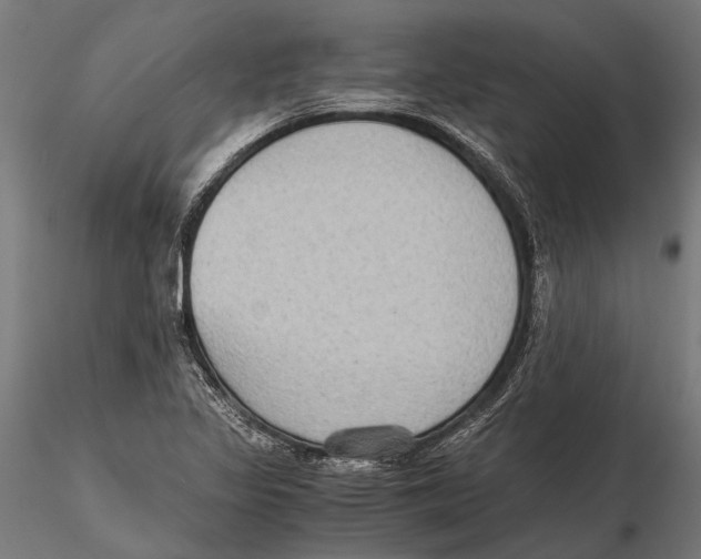 X0000115601317200912081104