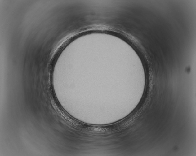 X0000115601318200912081104