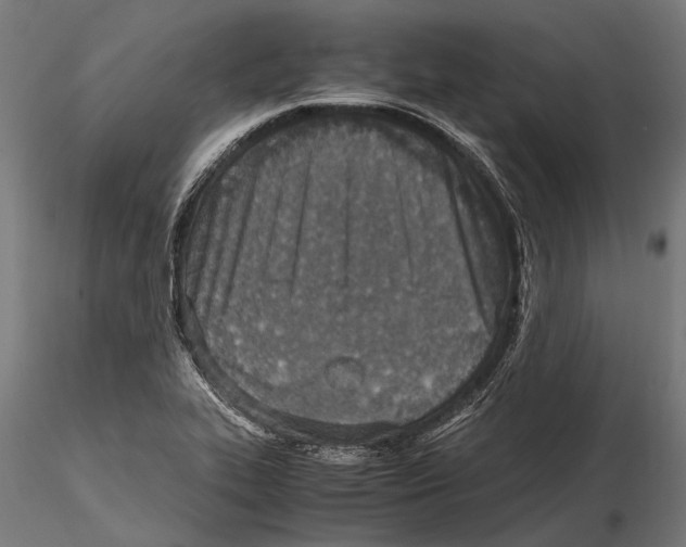 X0000115601319200912081104