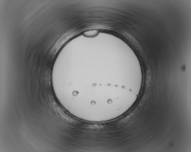 X0000115601321200912081104