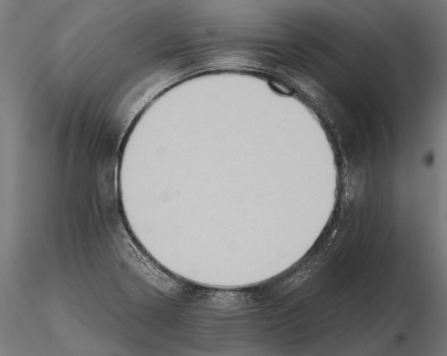 X0000115601322200912081104