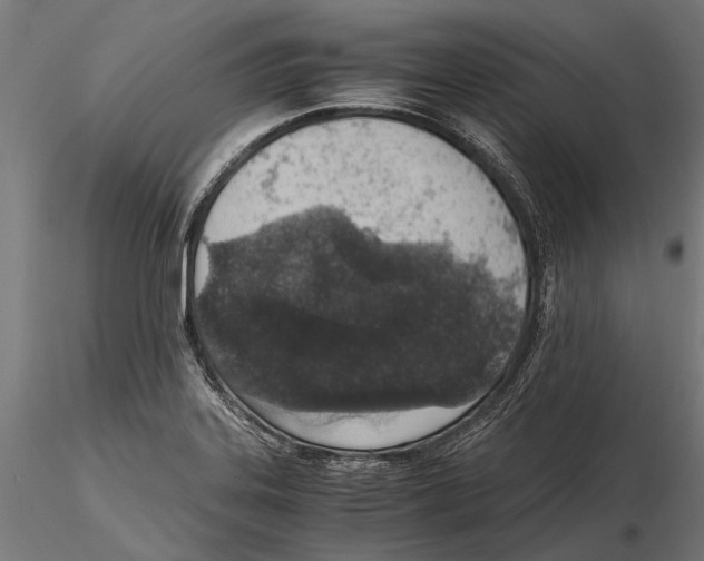 X0000115601323200912081104