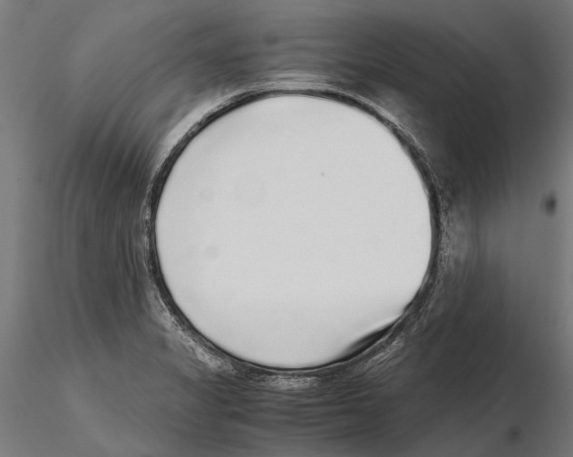 X0000115601325200912081104