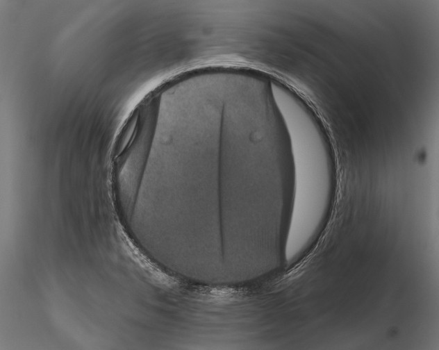 X0000115601326200912081104