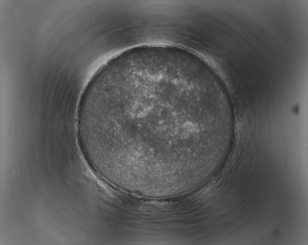 X0000115601327200912081104