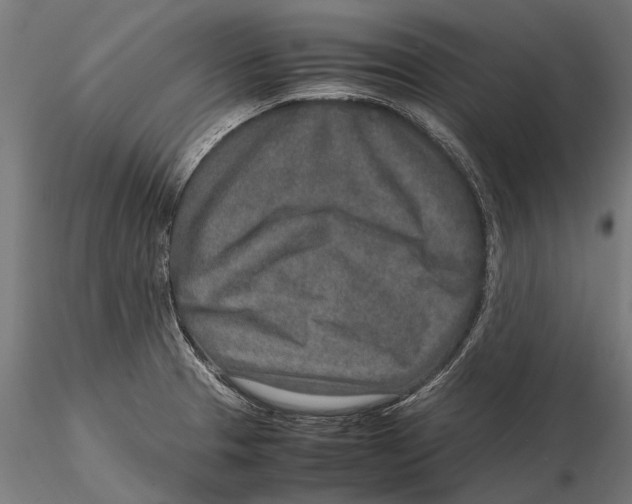 X0000115601329200912081104