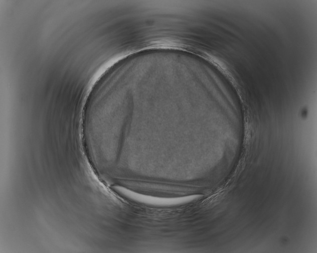 X0000115601331200912081104