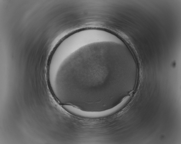 X0000115601334200912081104