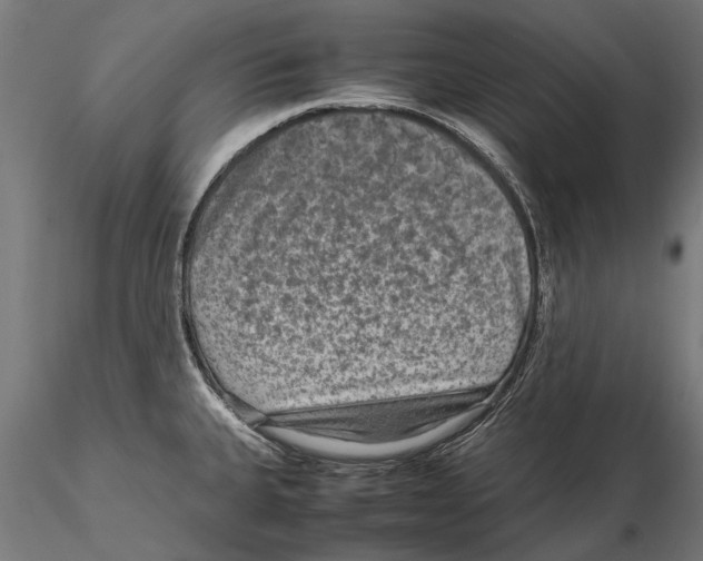 X0000115601335200912081104