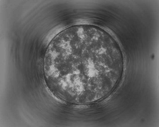 X0000115601337200912081104