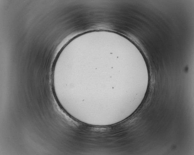 X0000115601339200912081104