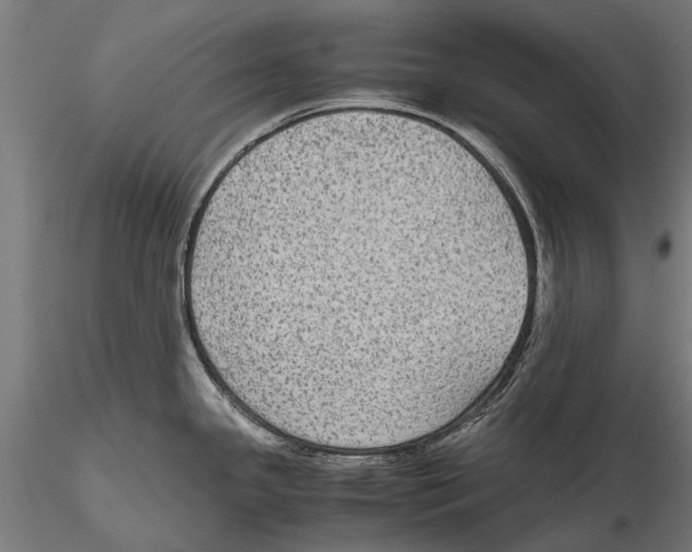 X0000115601341200912081104