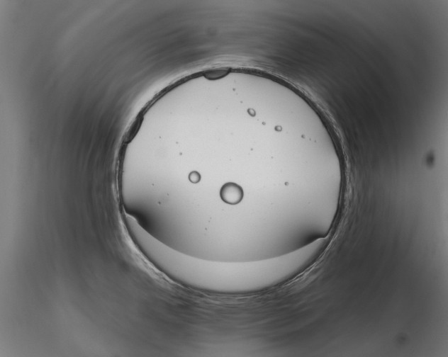 X0000115601342200912081104