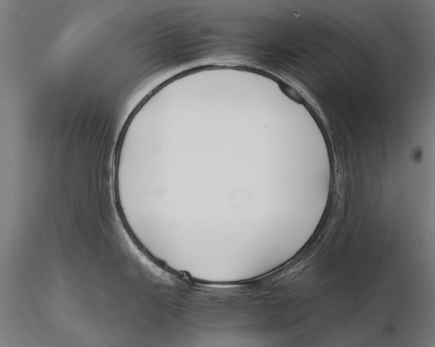 X0000115601343200912081105