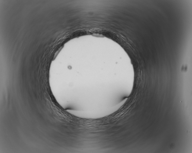 X0000115601345200912081104