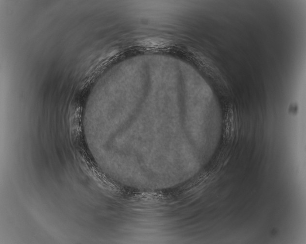 X0000115601346200912081104