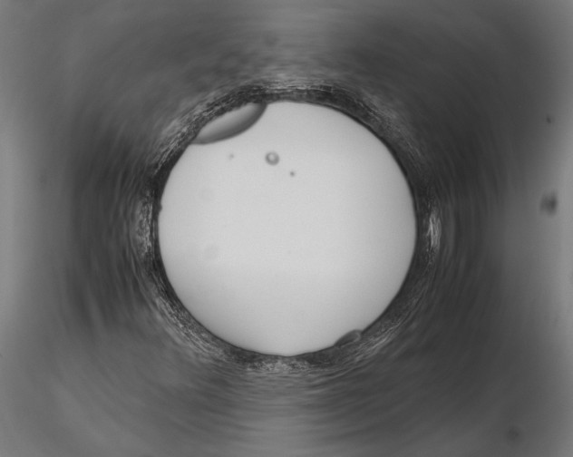 X0000115601348200912081104