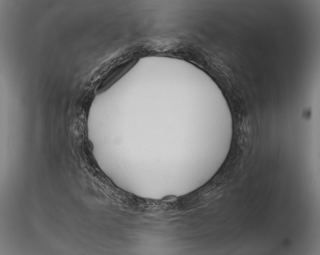 X0000115601349200912081104