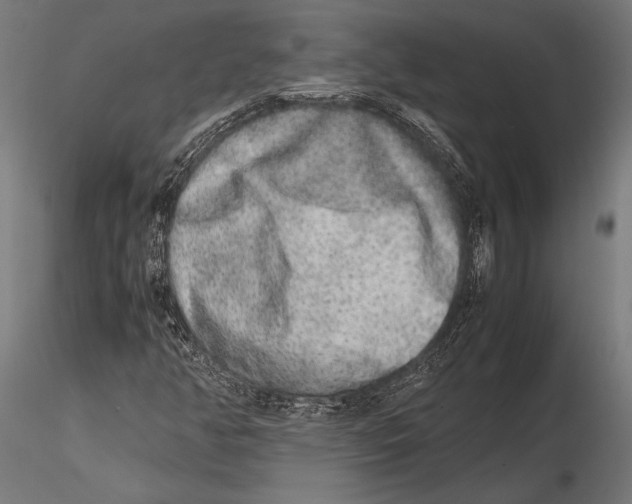 X0000115601350200912081104