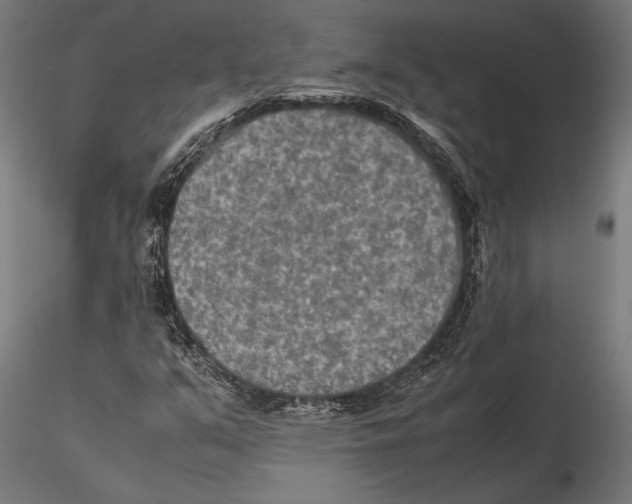 X0000115601351200912081104