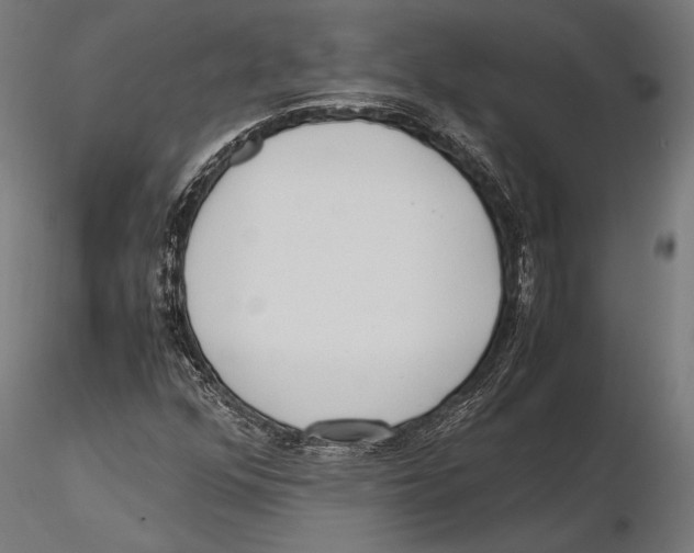 X0000115601352200912081104