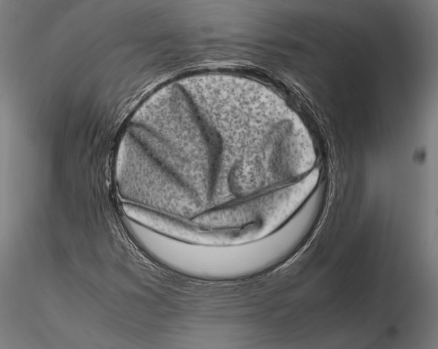 X0000115601353200912081104