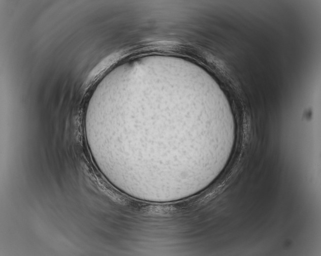 X0000115601354200912081104