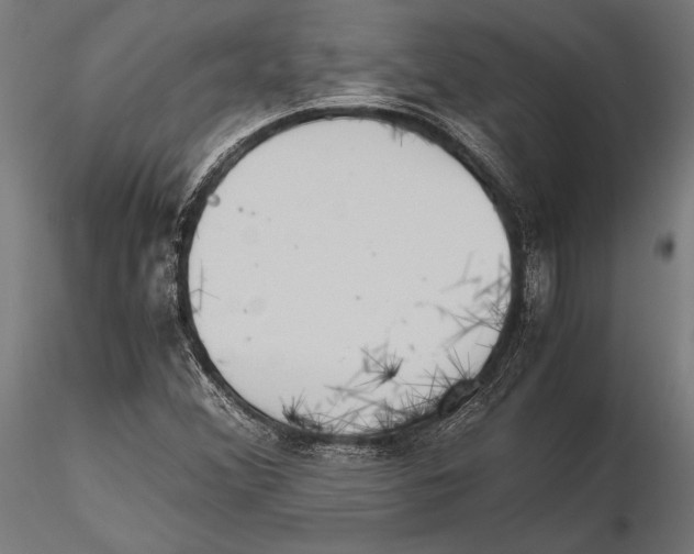 X0000115601356200912081104