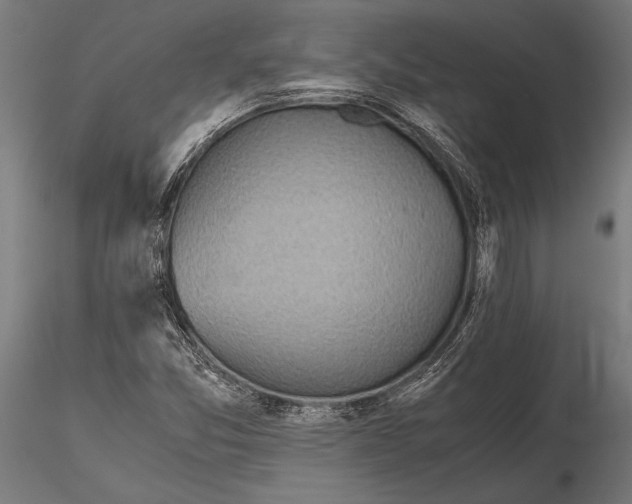 X0000115601357200912081104