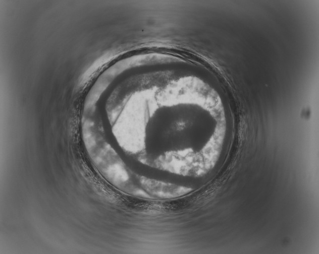 X0000115601359200912081103