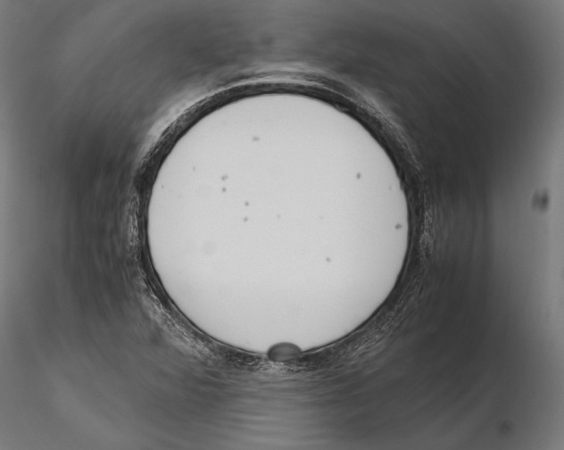 X0000115601360200912081103